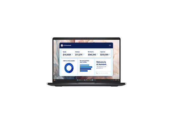 DELL MARKETING L.P. Dell Pro 13 Premium PA13250 13.3" laptop 512GB SSD